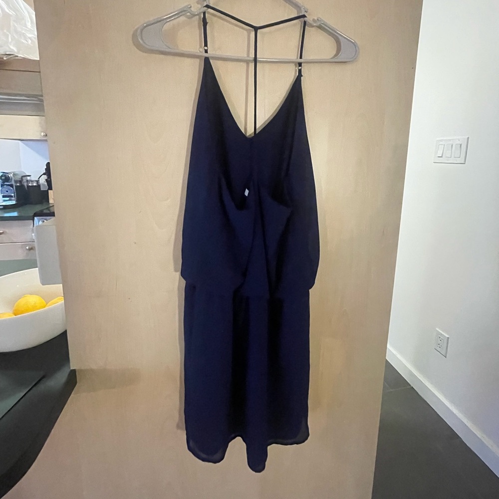 Naked Zebra navy dress